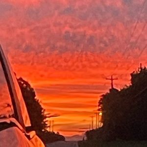 Meet your Posher, Bailee